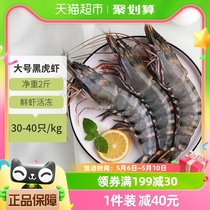 喵满分 大号黑虎虾新鲜大虾1kg（30-40只）鲜活速冻海鲜水产