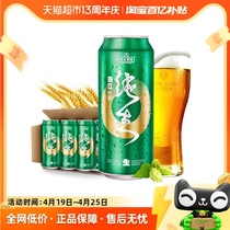 珠江啤酒9°P特制纯生啤酒500ml*12罐整箱装易拉罐鲜爽精品生啤