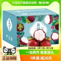 【彩箱礼盒装】泰国山竹5A新鲜大果5斤水果当季整箱顺丰包邮