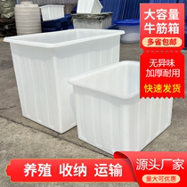 新品加厚牛筋桶长方形家用大号水桶工业塑料桶熟胶方桶养殖水箱食