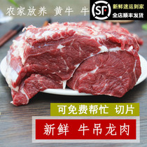 新鲜牛吊龙肉500克生牛肉 农家散养黄牛肉里脊肋条可切片火锅烧烤