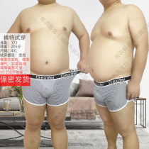 [新款]4XL胖子200斤男士内裤居家运动休闲阿罗裤青年肥佬平角裤男