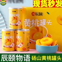 辰颐物语黄桃罐头蜜橘罐头砀山特产新鲜水果罐头425gx5罐12礼盒装