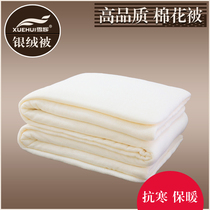棉被冬被春秋被芯 3斤-10斤加厚保暖棉花被子 冬季单人双人空调被