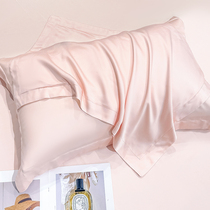 夏季兰精天丝新款纯色枕套48*74一对高档家用床上用品内胆枕套