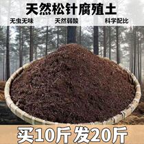 天然松针腐殖土酸性有机营养土通用透气兰花君子兰茶花阳台专用土