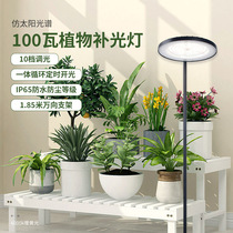 植物之选月季植物补光灯仿太阳全光谱绿植室内家用 led兰花生长灯