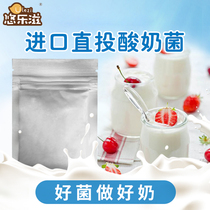 进口酸奶发酵菌散装鲜奶吧酸奶菌种凝固型 乳酸菌直投商用菌粉20g