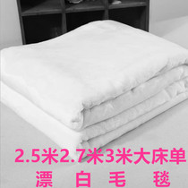 高档拍照背景毯加厚漂白色毛毯珊瑚绒毯法兰绒宾馆旅馆单双人床单