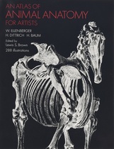 现货 An Atlas of Animal Anatomy for Artists 进口艺术 动物解剖图谱 动物绘画技巧参考书【中商原版】