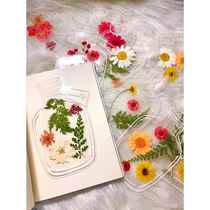 透明干花制作夹树叶标本植物diy手工收集册标本册工具材料包书签