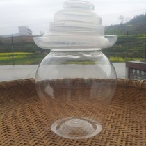包邮 四川泡菜坛子塑料PET材质青花瓷陶瓷坛子储存容器 送母水1斤