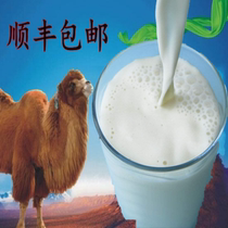 20斤骆驼奶鲜奶新鲜现挤牧场直供新疆哈萨克族骆驼奶全国顺丰空运