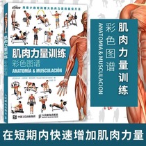当当网肌肉力量训练彩色图谱 肌肉锻炼指南 肌肉训练图解教程书籍 肌肉训练全书 拉伸全书 专业指导计划 减肥减脂瘦身书籍正版书籍