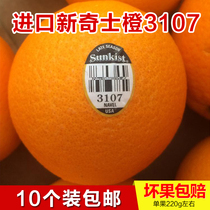 现货新奇士脐橙3107橙子薄皮多汁进口新鲜水果大果3/5斤包邮