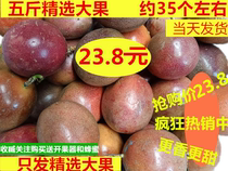 广西百香果5斤现摘精选大果新鲜热带水果西番莲大红果