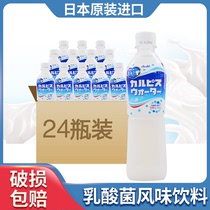 新日期日本原装进口CALPIS可尔必思乳酸菌风味饮料儿童可用24瓶装