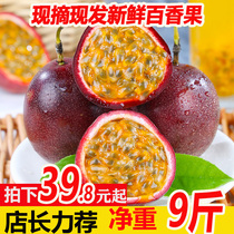 广西新鲜水果百香果鸡蛋果西番莲 现摘发货 大果5斤包邮10百香果
