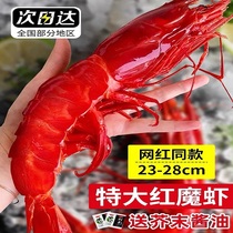 红魔虾鲜活特大刺身级红虾冷冻大虾新鲜海虾生吃非莫桑比克西班牙