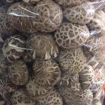 特大椴木大花菇香菇冬菇250g东北土特产干货蘑菇一件包邮