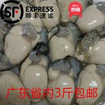 生蚝肉鲜活现剥去壳牡蛎500g海鲜水产即食烧烤特大海蛎子十斤包邮