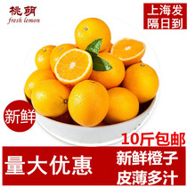 江西橙子新鲜赣南橙子1斤装  上海发货10斤当季水果包邮