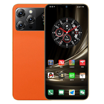 乐易 leyi 14promax高端皮纹商务智能手机双卡双待5G全网通备用机