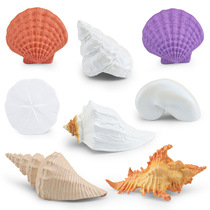 厂家直销 仿真海洋贝壳模型蝾螺鹦鹉螺蛾螺扇贝海螺桌面模型摆件