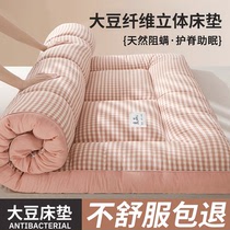 大豆立体床垫软垫双人家用榻榻米被褥子防滑垫被学生宿舍租房专用