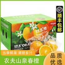 农夫橙子新鲜水果17.5春橙脐橙春橙礼盒纽荷尔10斤17度5