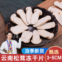 松茸冻干片香格里拉松茸干片3-5cm云南特产松茸菌干货菌菇煲汤料
