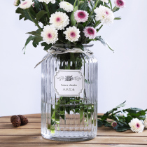 北欧简约创意玻璃花瓶透明水培绿萝植物鲜花花瓶家用客厅插花摆件