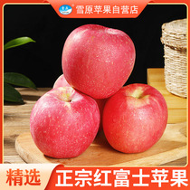 红富士苹果当季时令新鲜水果脆甜不打蜡5/10斤装整箱