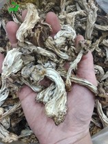 包邮野生腐竹蘑菇半斤东北特产蘑菇干货长白山鸡腿蘑小羊肚蘑250g