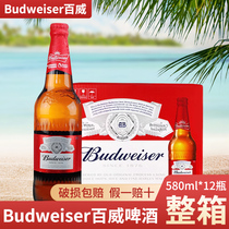 Budweiser/百威啤酒瓶装百威啤酒580ML*12瓶整箱正品