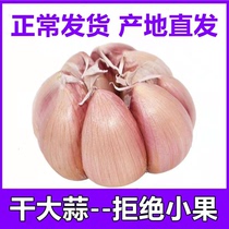 农家自种干大蒜头新鲜白紫皮3/5/10斤装种籽干蒜低价大蒜晒干批发
