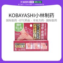 日本直邮KOBAYASHI 小林制药治皮炎汉方紫云膏20g进口
