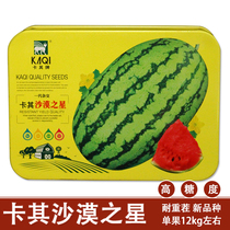 卡其沙漠之星西瓜种子懒汉西瓜种籽早熟大果型大红瓤蔬菜水果种孑