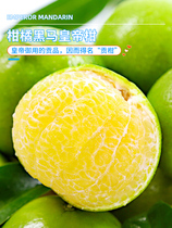 广西皇帝柑大果10斤新鲜水果整箱蜜桔香甜橘子贡柑砂糖桔子沃5柑