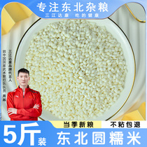 5斤东北五常糯米新米 包粽子用的米酿酒江米白糯米粘大米圆糯米
