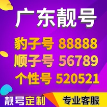 广东电信手机号靓号手机卡选号吉祥号码电话卡连号好号新王卡5G