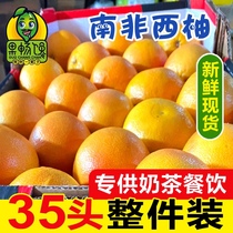 特价南非进口红心西柚应季水果葡萄柚子整件装 35个头单果7两左右