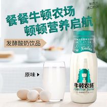 高端原味酸奶饮品玻璃瓶乳酸菌饮料儿童早餐学生奶