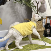 无毛猫衣服夏季纯棉背心薄款防过敏透气柔软斯芬克斯德文猫衣服