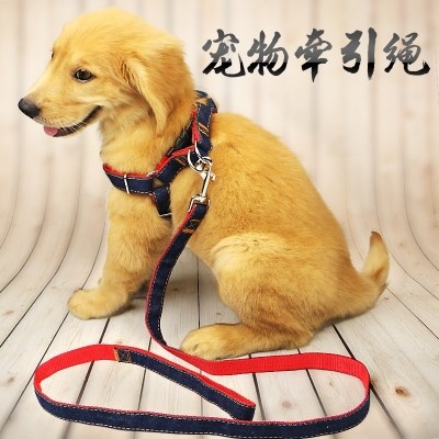 狗狗牵引绳项圈金毛泰迪中型小型幼犬遛狗绳子小狗链子宠物狗用品