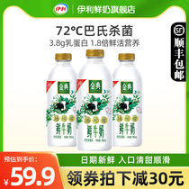 伊利金典鲜牛奶780ml*3瓶装全脂巴氏杀菌新鲜高品质生牛乳低温