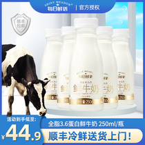 每日鲜语鲜牛奶全脂250ml瓶装低温鲜奶配送新鲜蒙牛纯奶3.6乳蛋白
