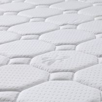 定制椰棕弹簧床垫硬垫家用经济型弹簧椰棕垫折叠18m15m可定制床垫