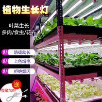 led植物生长灯红蓝白蔬菜工厂大棚育苗室内水培叶菜全光谱补光灯