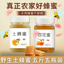 蜂蜜纯正天然农家自产野生土蜂蜜柠檬柚子茶洋槐百花蜂巢蜜新品